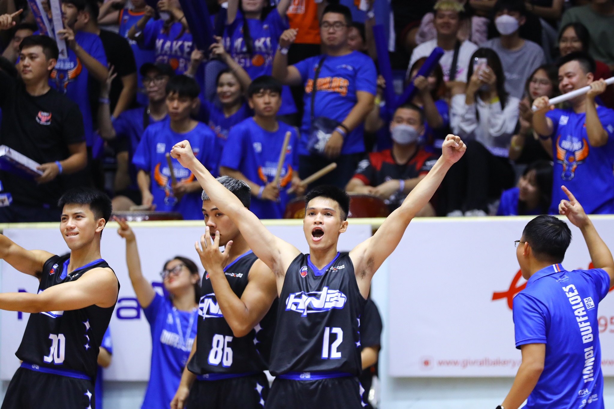 hanoi buffaloes anh 8