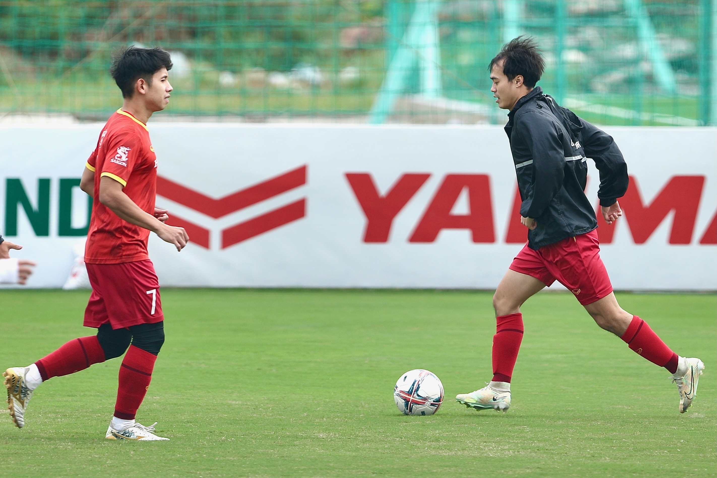 tuyen viet nam anh 6