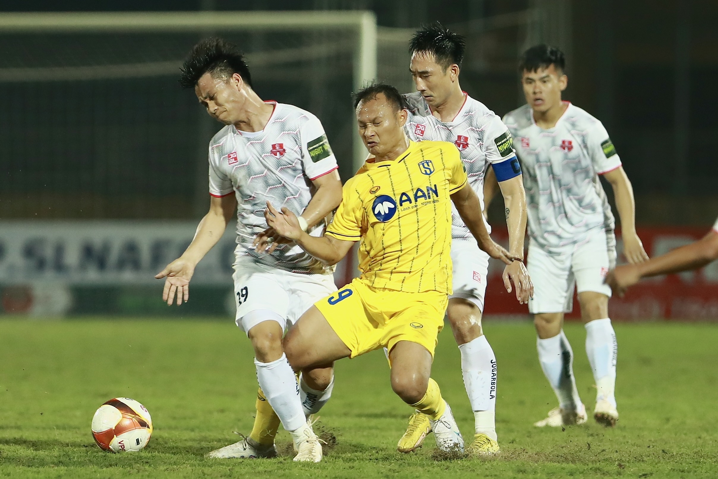 SLNA hoa tran thu 3 lien tiep hinh anh