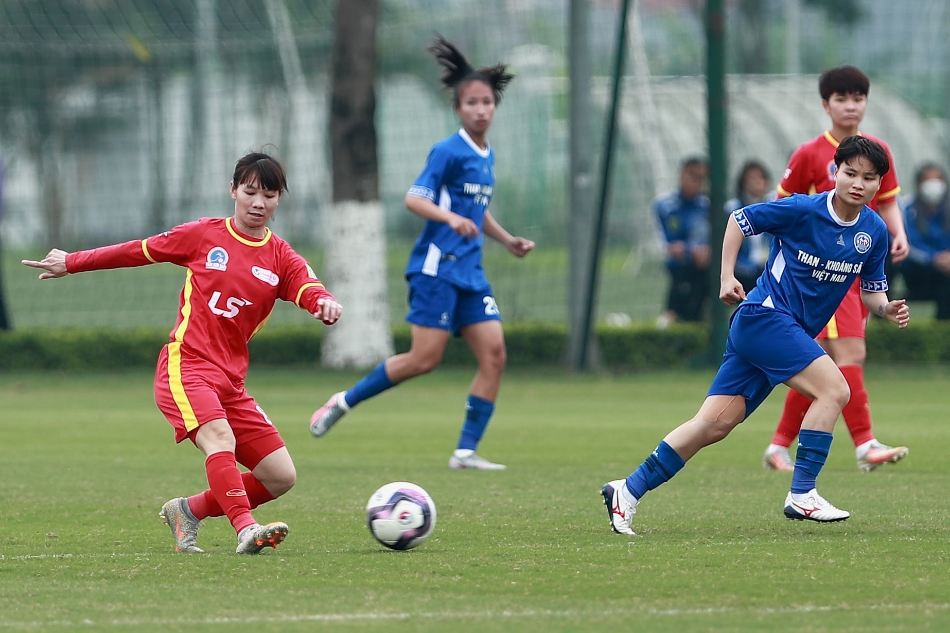 huỳnh như ảnh 14 huynh nhu anh 14