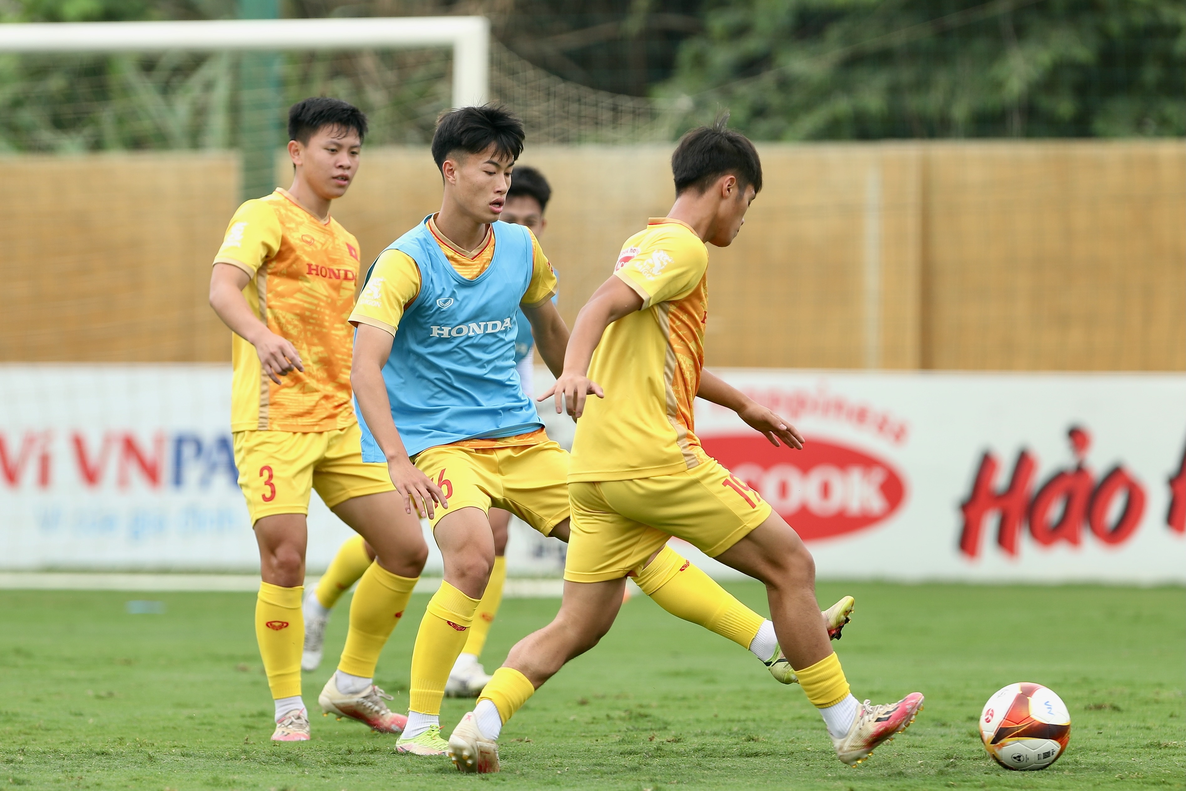 philippe troussier anh 10