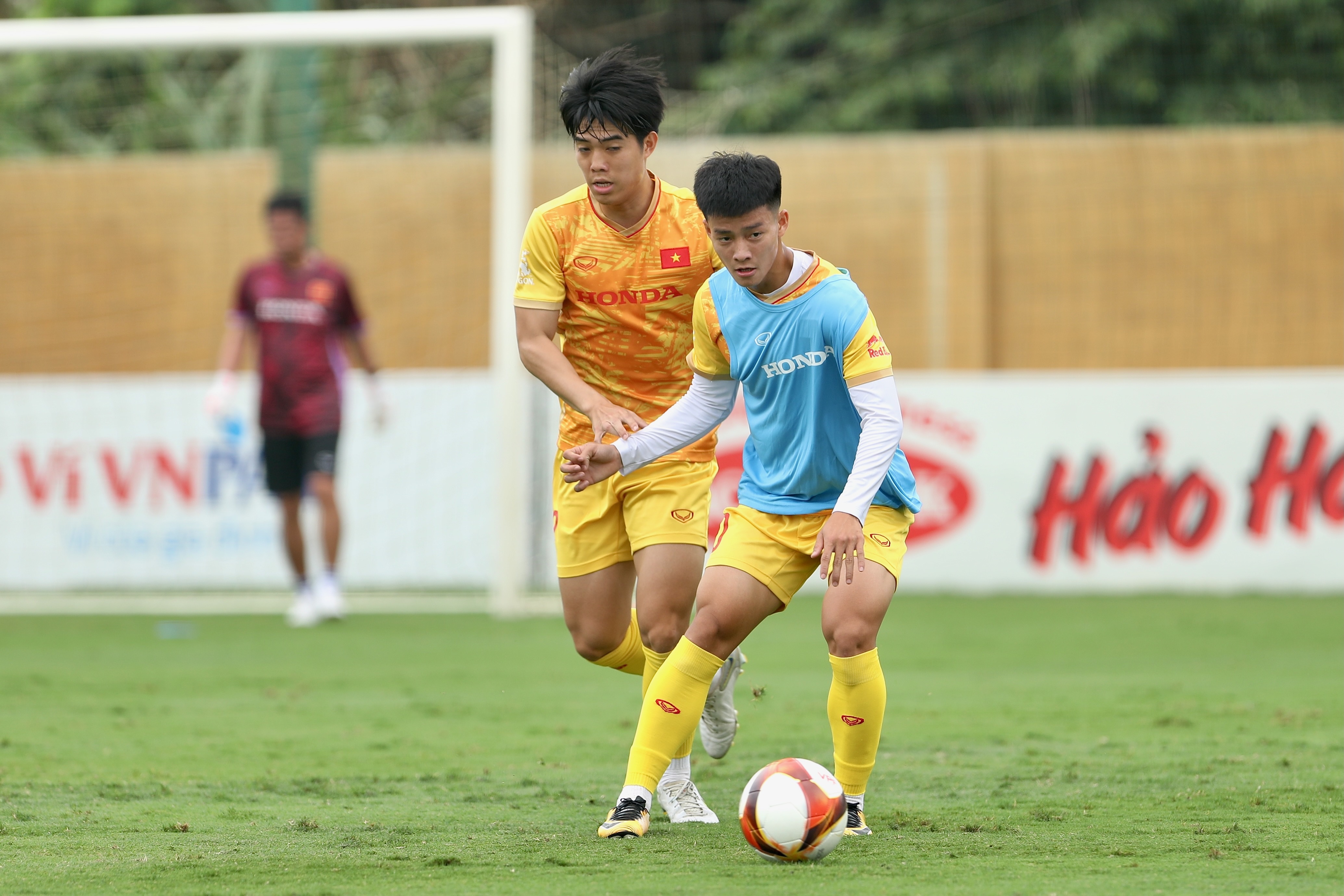 philippe troussier anh 9