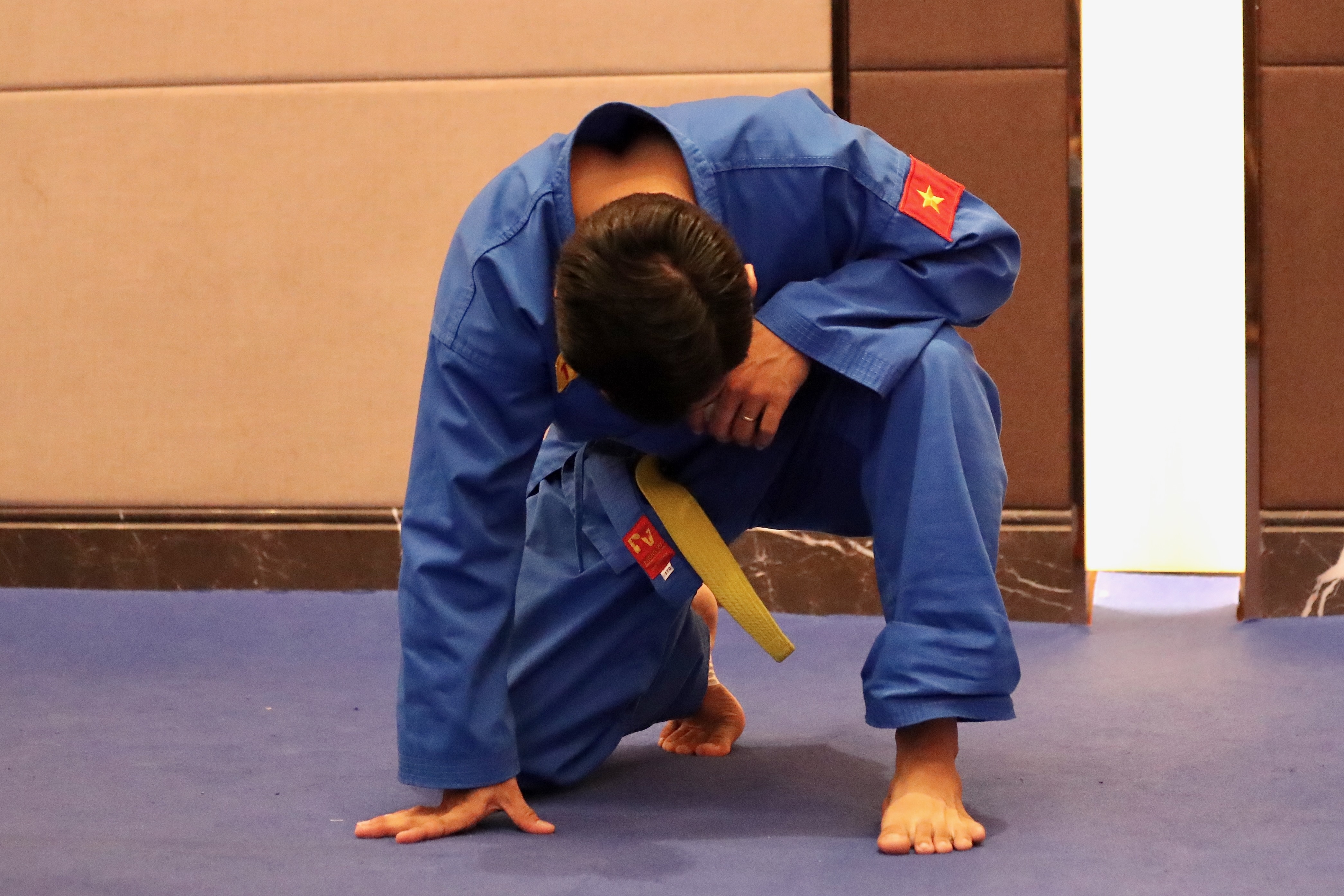 vovinam anh 9