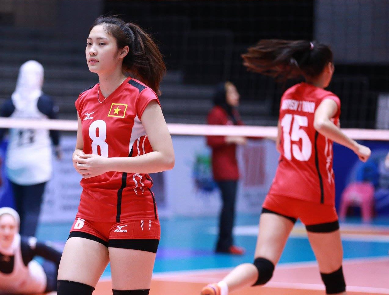 hoa khoi bong chuyen anh 1