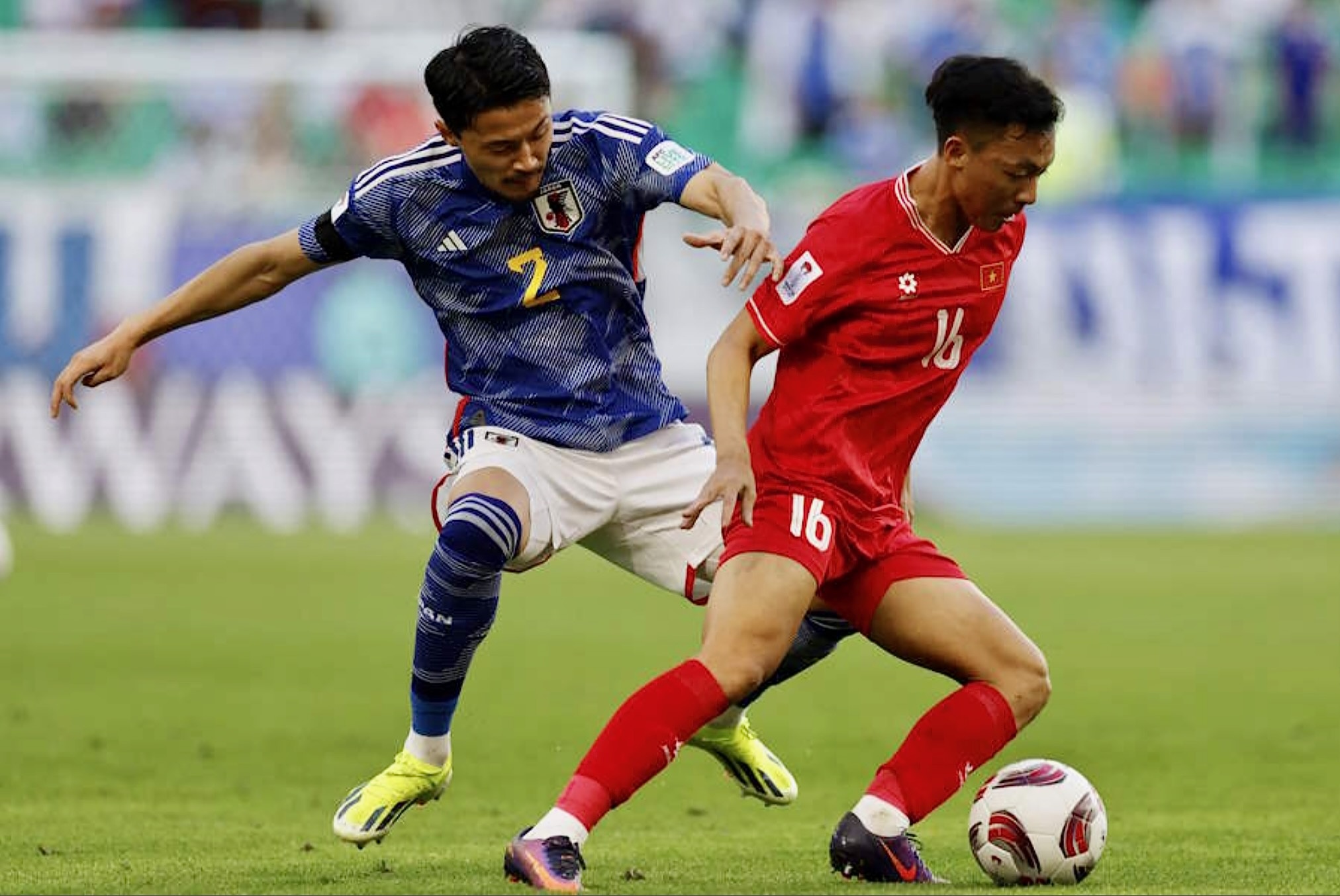 viet nam - nhat ban anh 8