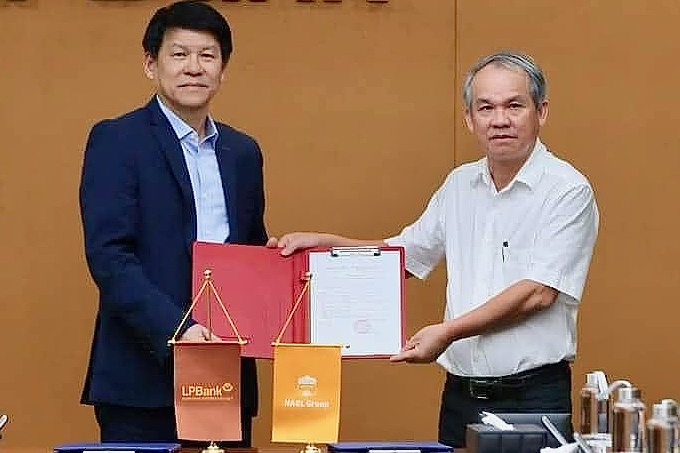 Ong Vu Tien Thanh lam HLV truong HAGL hinh anh