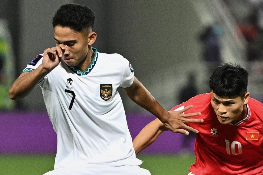 viet nam - indonesia anh 1