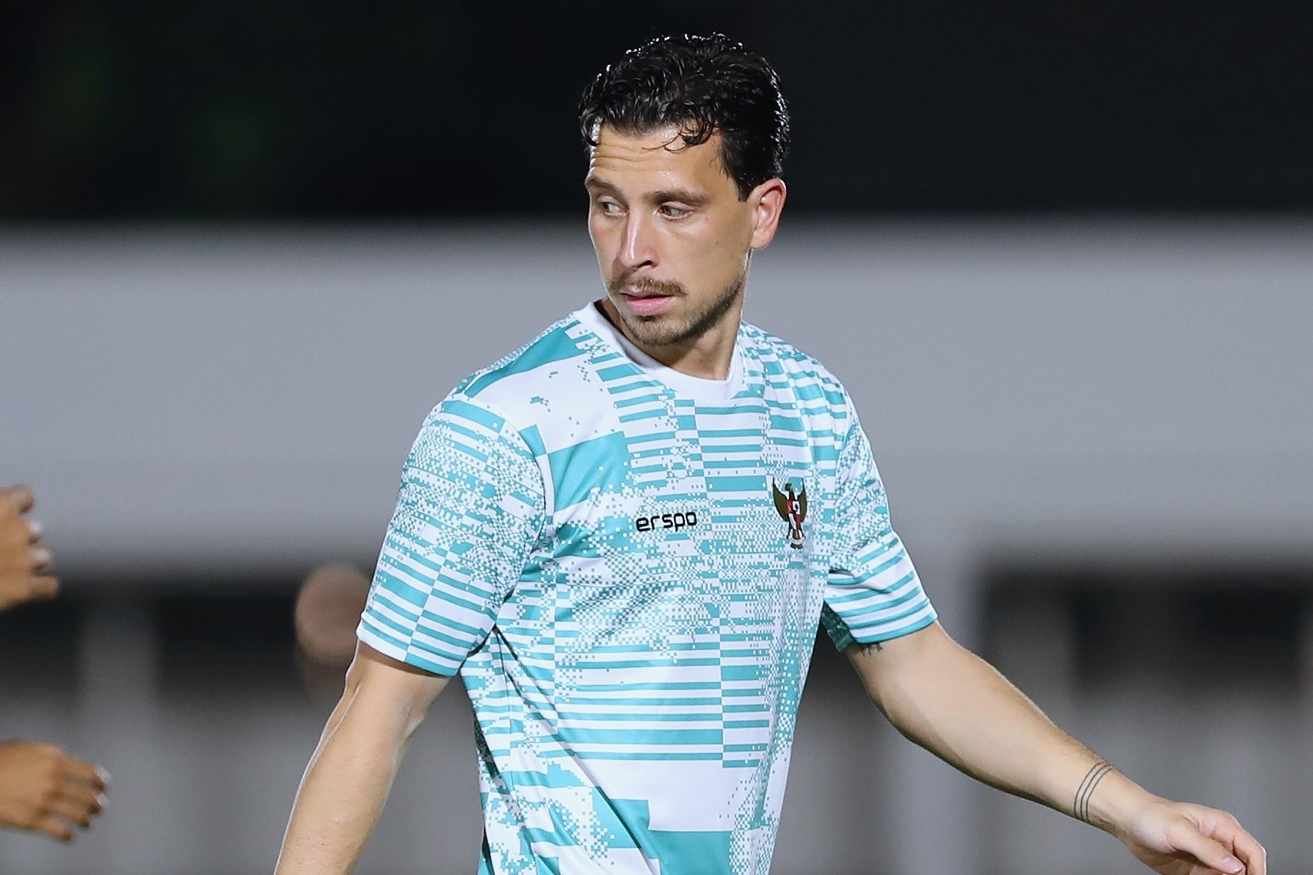 Dan nhap tich to cao cua Indonesia hinh anh