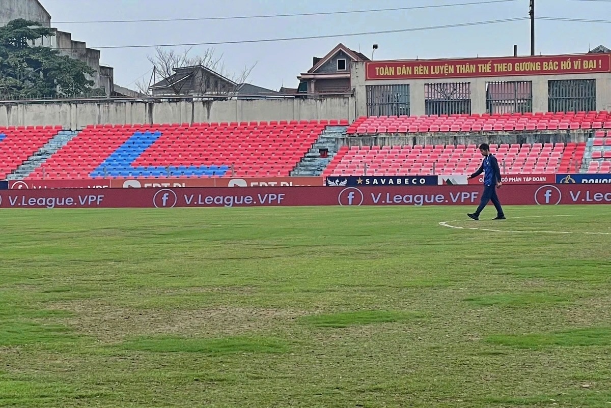 Ha Tinh chua mua duoc co, VPF giuc tim san moi hinh anh