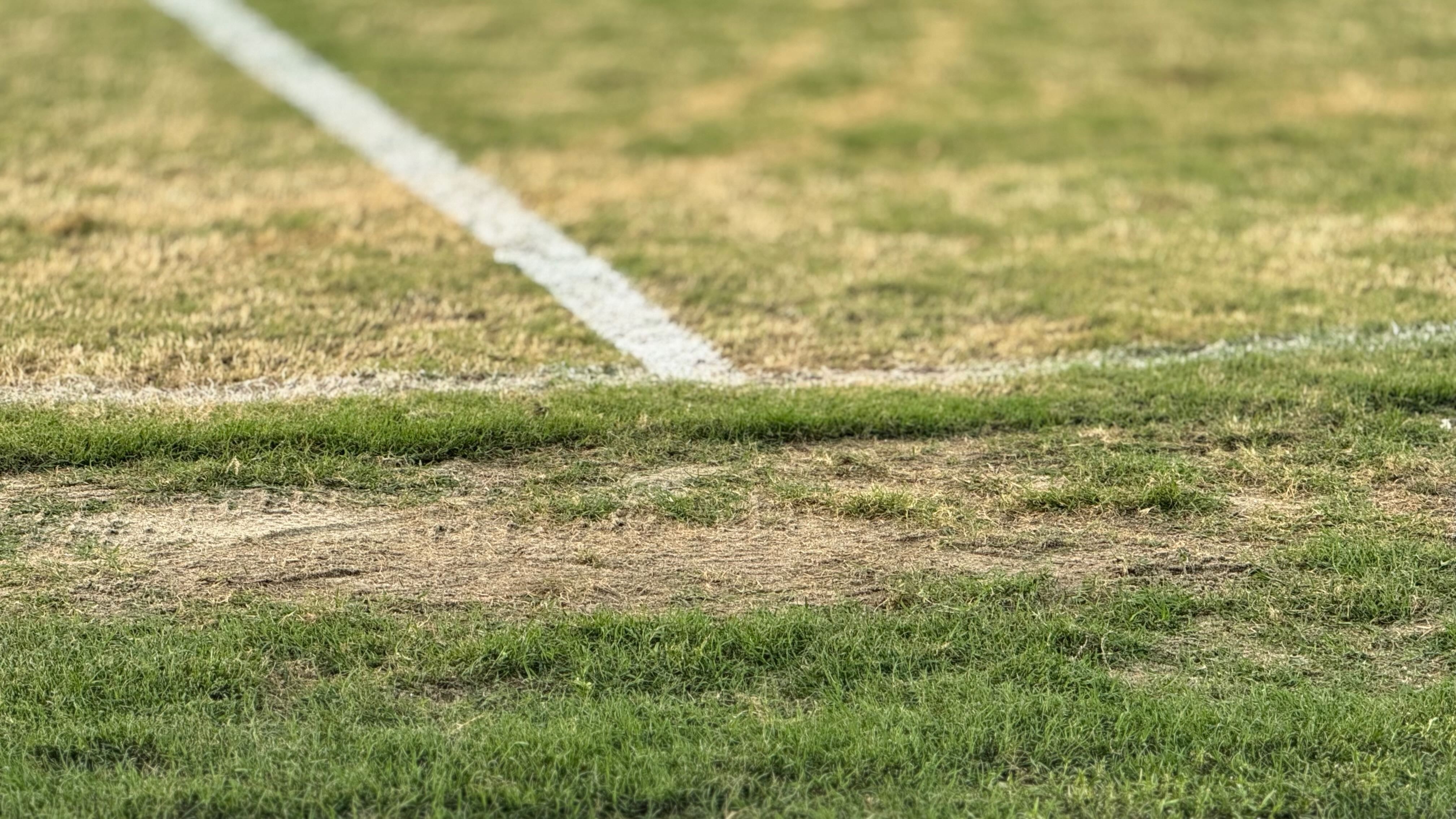 San My Dinh bi che tham te hinh anh