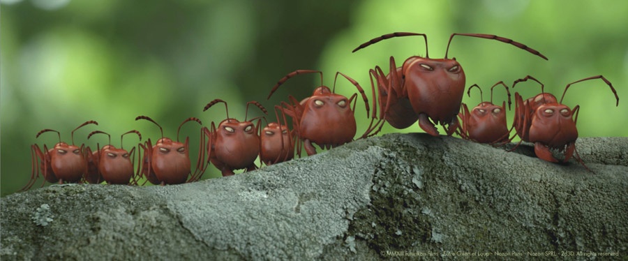 'Chua te cua the gioi con trung' den Viet Nam hinh anh