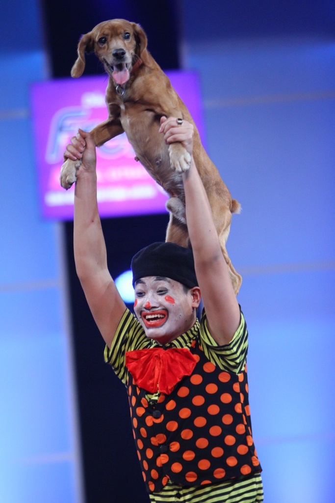 Một lần nữa 2 đội trùng sự lựa chọn và người bí ẩn được xác định là nghệ sĩ xiếc thú Song Anh. 