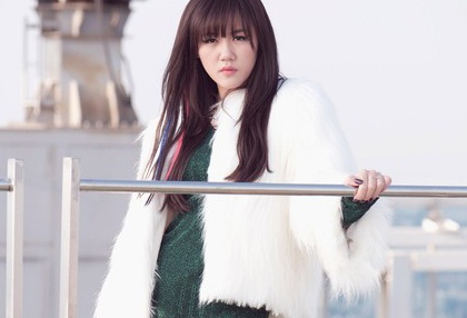 Su nghiep thang tram cua top 2 Vietnam Idol cac mua hinh anh