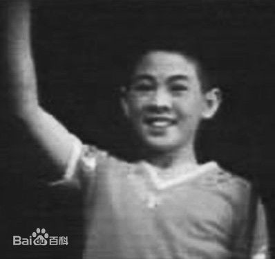 Lý Liên Kiệt được đánh giá là có động tác võ linh hoạt, đẹp mắt.