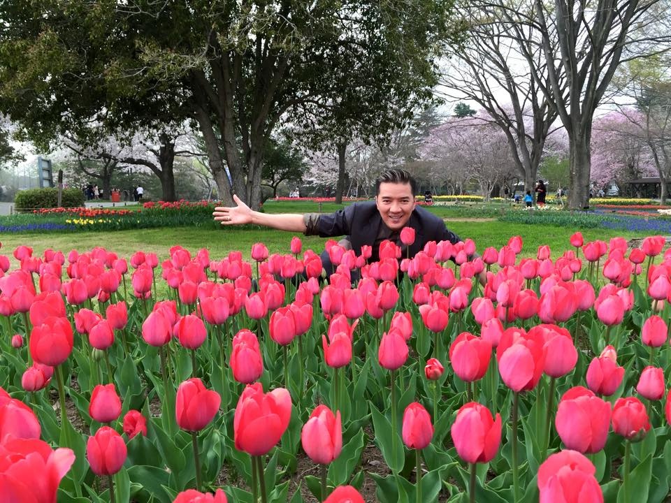 Hình ảnh của Đàm Vĩnh Hưng ở xứ sở hoa anh đào.