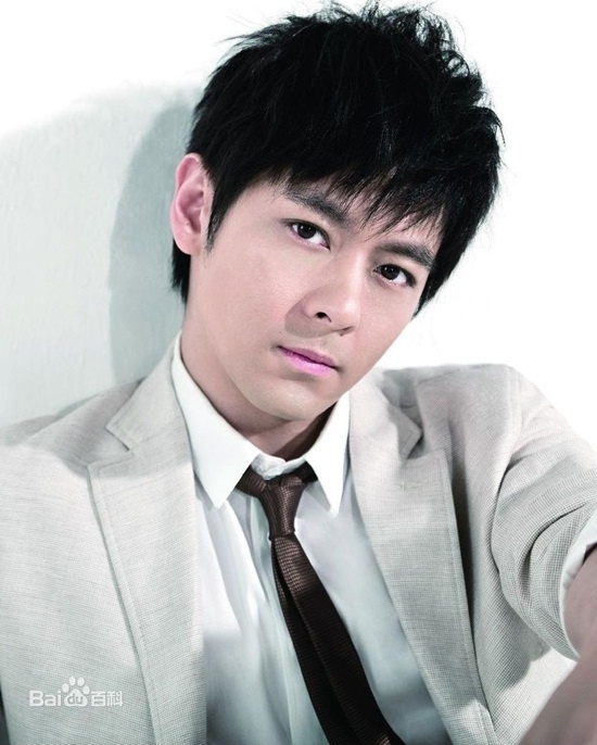 Ngoài diễn xuất, Lâm Chí Dĩnh có sự nghiệp ca hát và đua xe khá thành công. Anh còn tham gia kinh doanh thời trang. Năm 2013, Lâm Chí Dĩnh hâm nóng tên tuổi khi tham gia show truyền hình Bố ơi mình đi đâu thế cùng con trai anh – bé Kimi. 