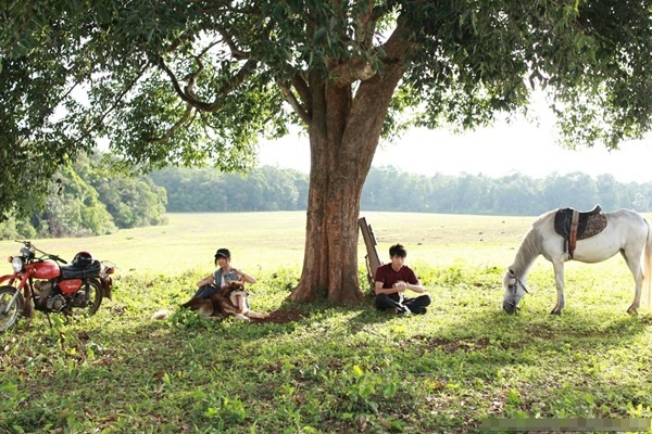 Điểm cộng của Trùm Cỏ chính là hình ảnh trong phim, trại cỏ Mộc Lâm được quay  tại trảng cỏ Bù Lạch (Huyện Bù Đăng- Tỉnh Bình Phước) được thiên nhiên  ban tặng một vẻ đẹp diệu kỳ.