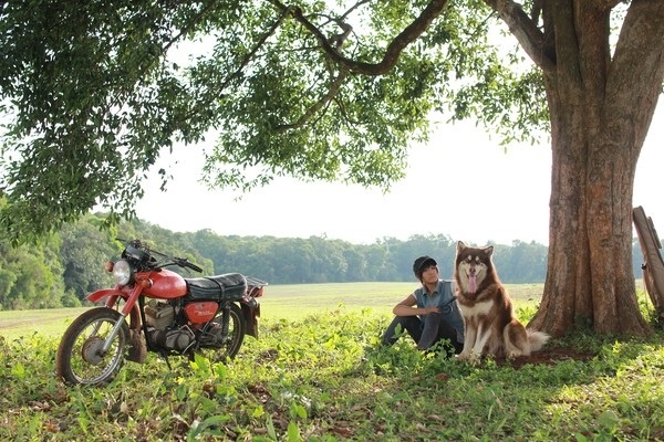 Bên cạnh đó, một điểm thú vị nữa làm tăng nét lạ của bộ phim đó là những  con thú cưng. Chú ngựa trắng làm cho Mộc Lâm giống như một hoàng tử  trên thảo nguyên xanh, hay chú chó Poki khôn ngoan, đáng yêu khiến  khán giả mê từ cái nhìn đầu tiên.