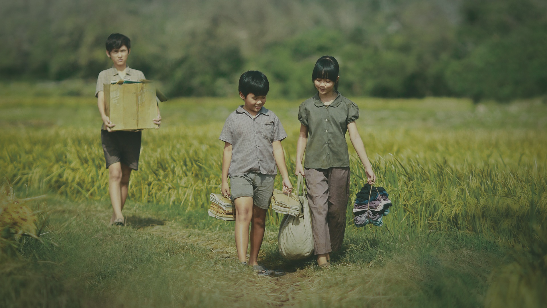 Chieu mien phi 'Toi thay hoa vang tren co xanh' hinh anh