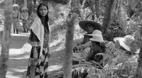 Phim dai nhat lich su LHP Berlin co the doat giai Gau vang hinh anh