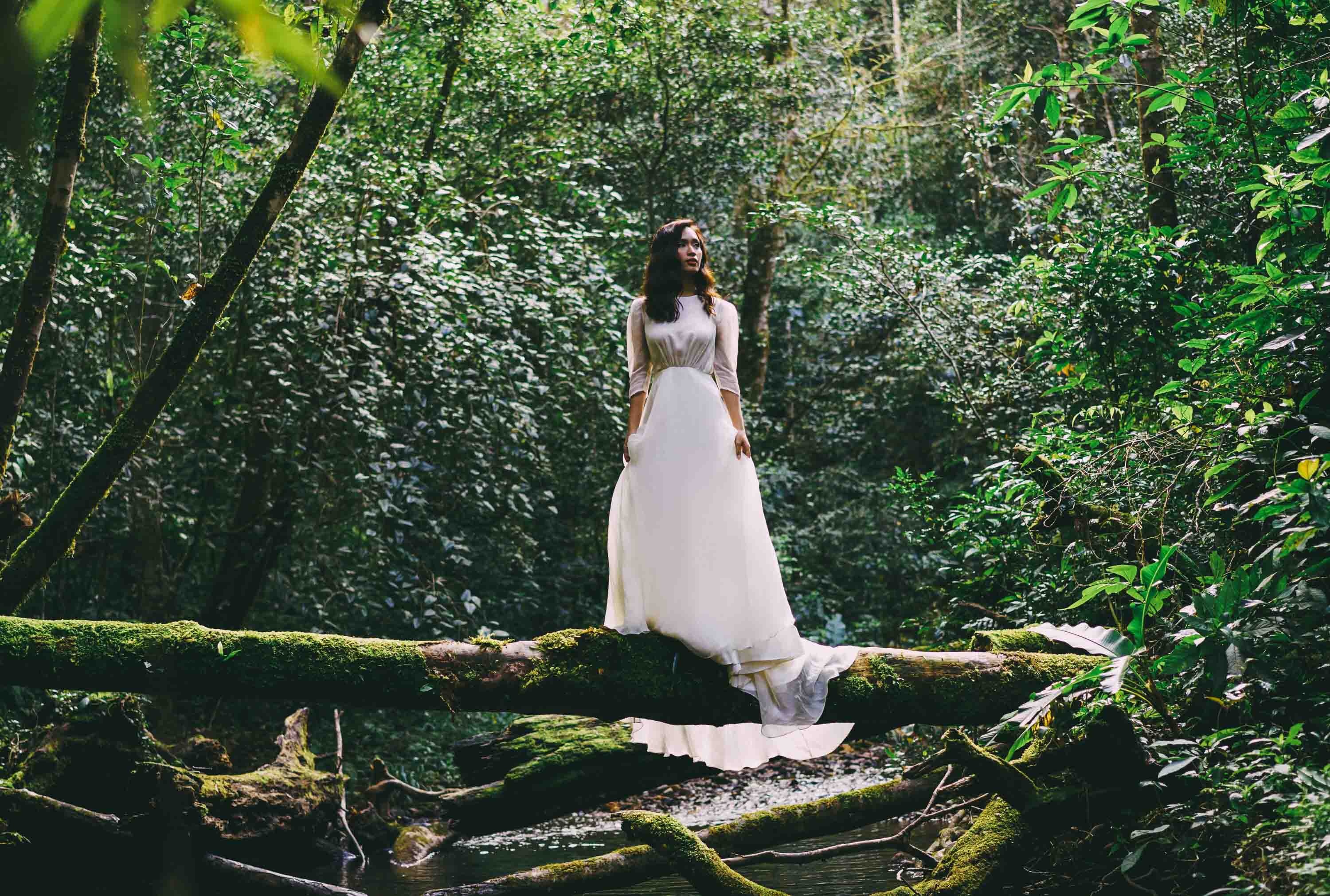 MV tôi thấy hoa vàng trên cỏ xanh, ảnh 1 MV toi thay hoa vang tren co xanh, anh 1