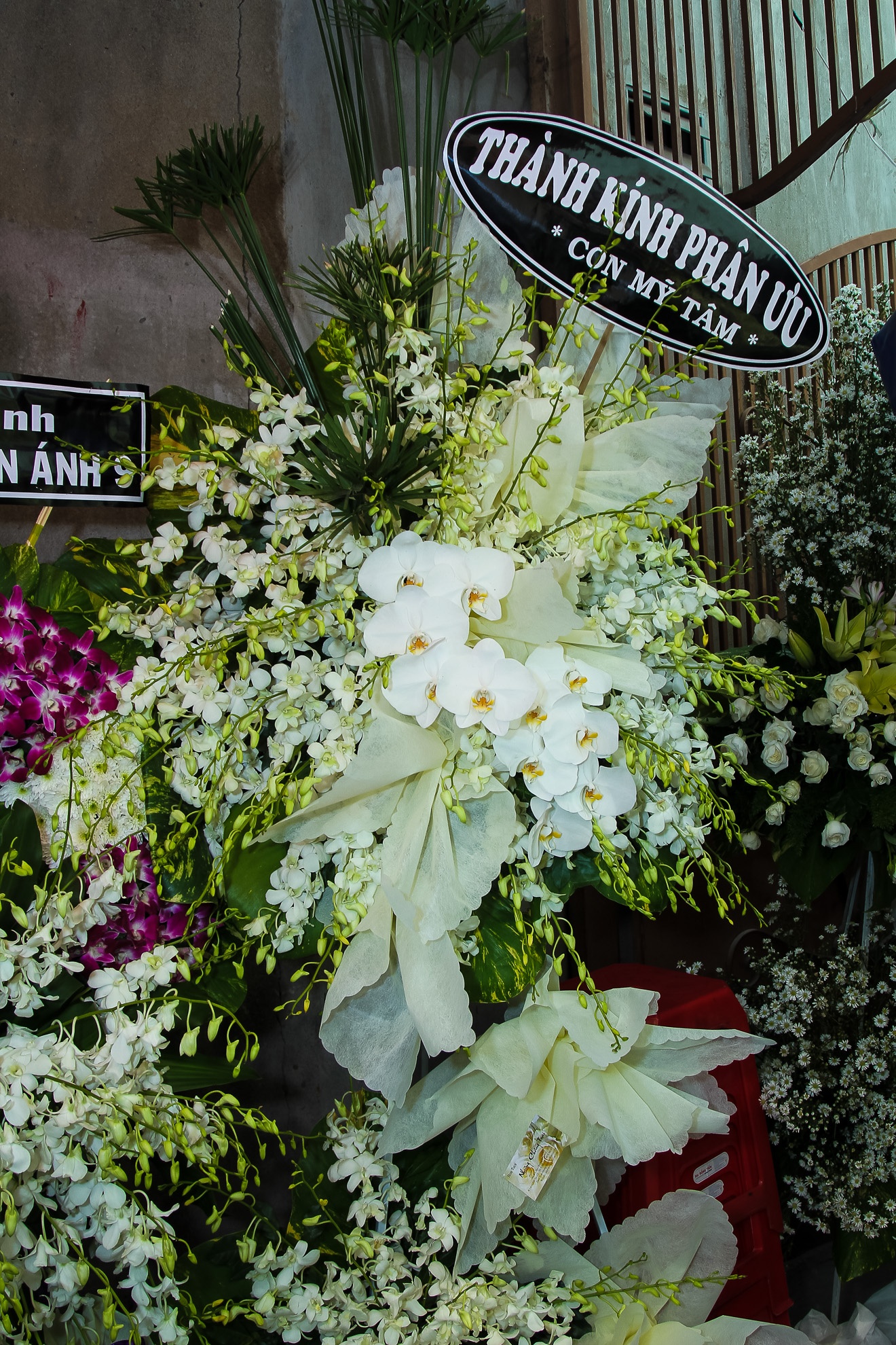 Quang Ha khoc khi hat nhac Nguyen Anh 9 anh 14