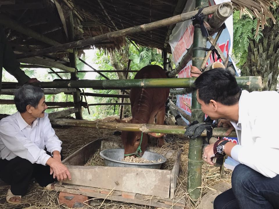 Sao Viet chao nam 2016 anh 1