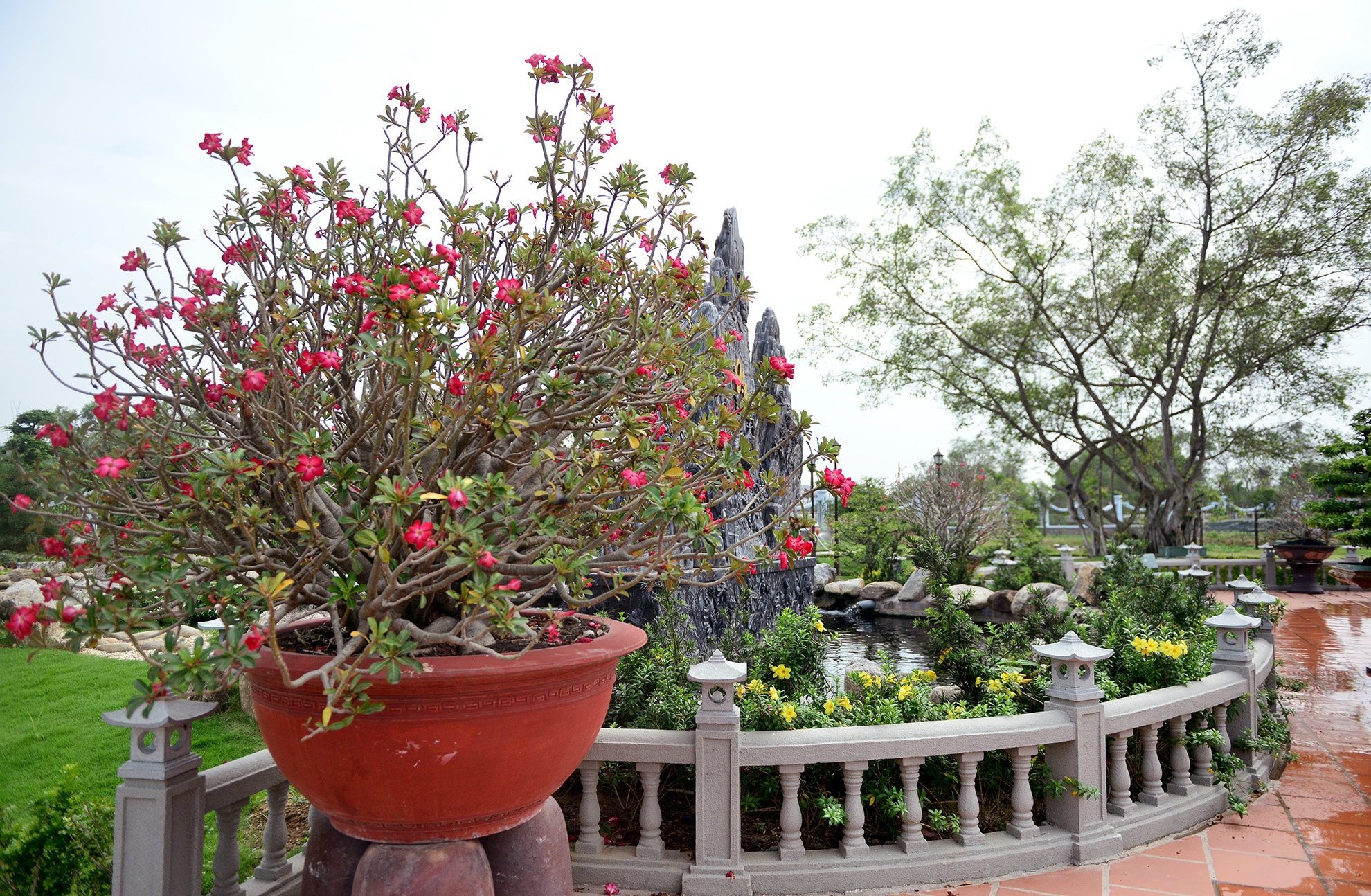 Nha tho To cua Hoai Linh don dep don Tet anh 19