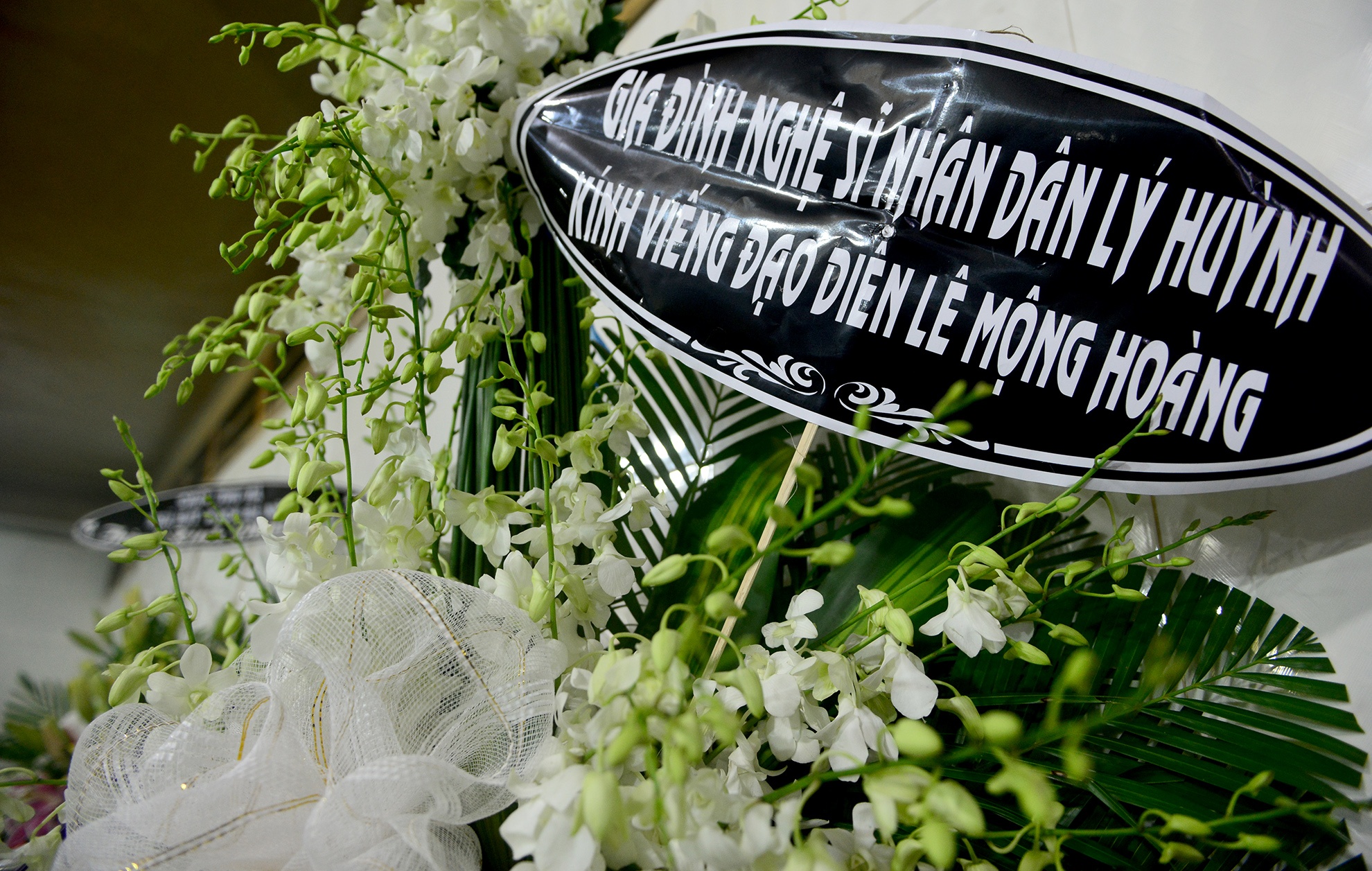 Dam tang dao dien Le Mong Hoang anh 11