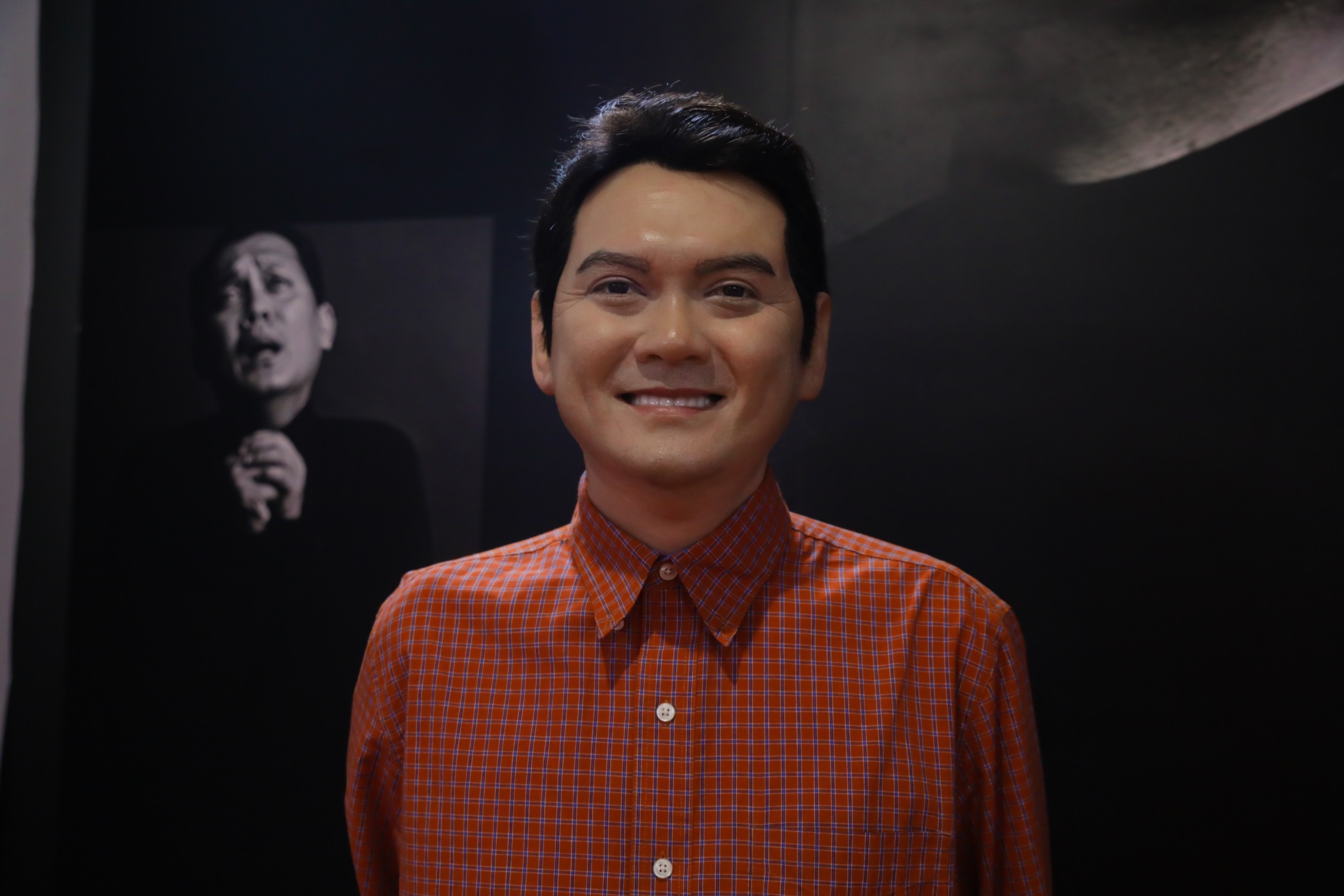 Tuong sap nghe si Viet anh 11