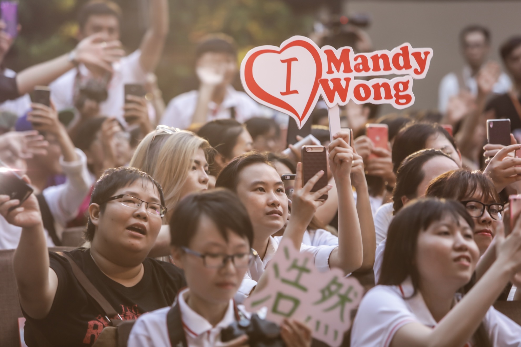 Hoa hau Hong Kong sang Viet Nam anh 1