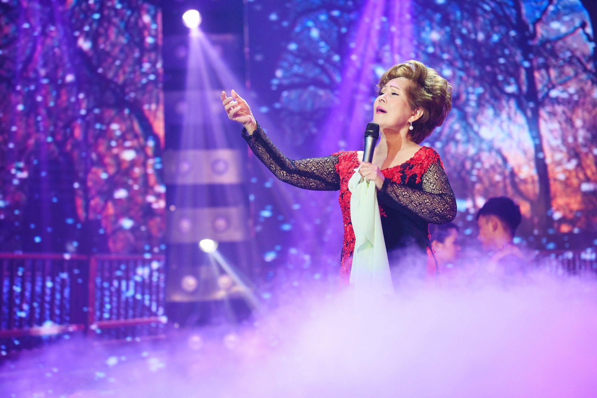 Tập 9 Hãy nghe tôi hát ảnh 14 Tap 9 Hay nghe toi hat anh 14