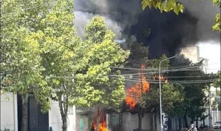 Co so san xuat go o Binh Duong chim trong bien lua hinh anh