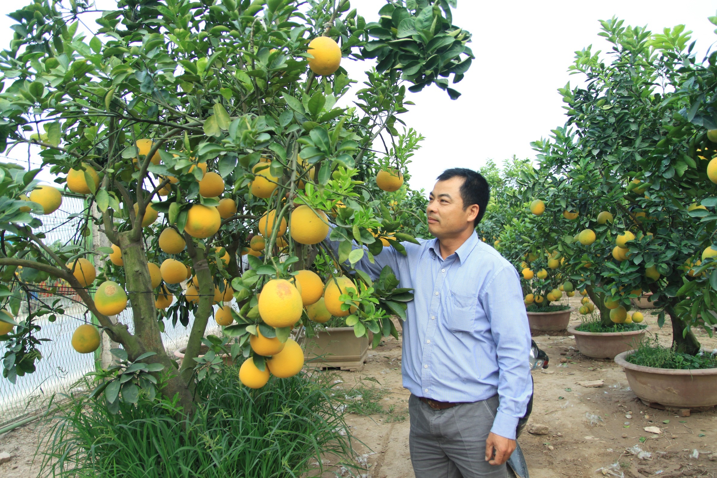 Buoi canh Tet: Khach la co tien van kho mua hang dep hinh anh