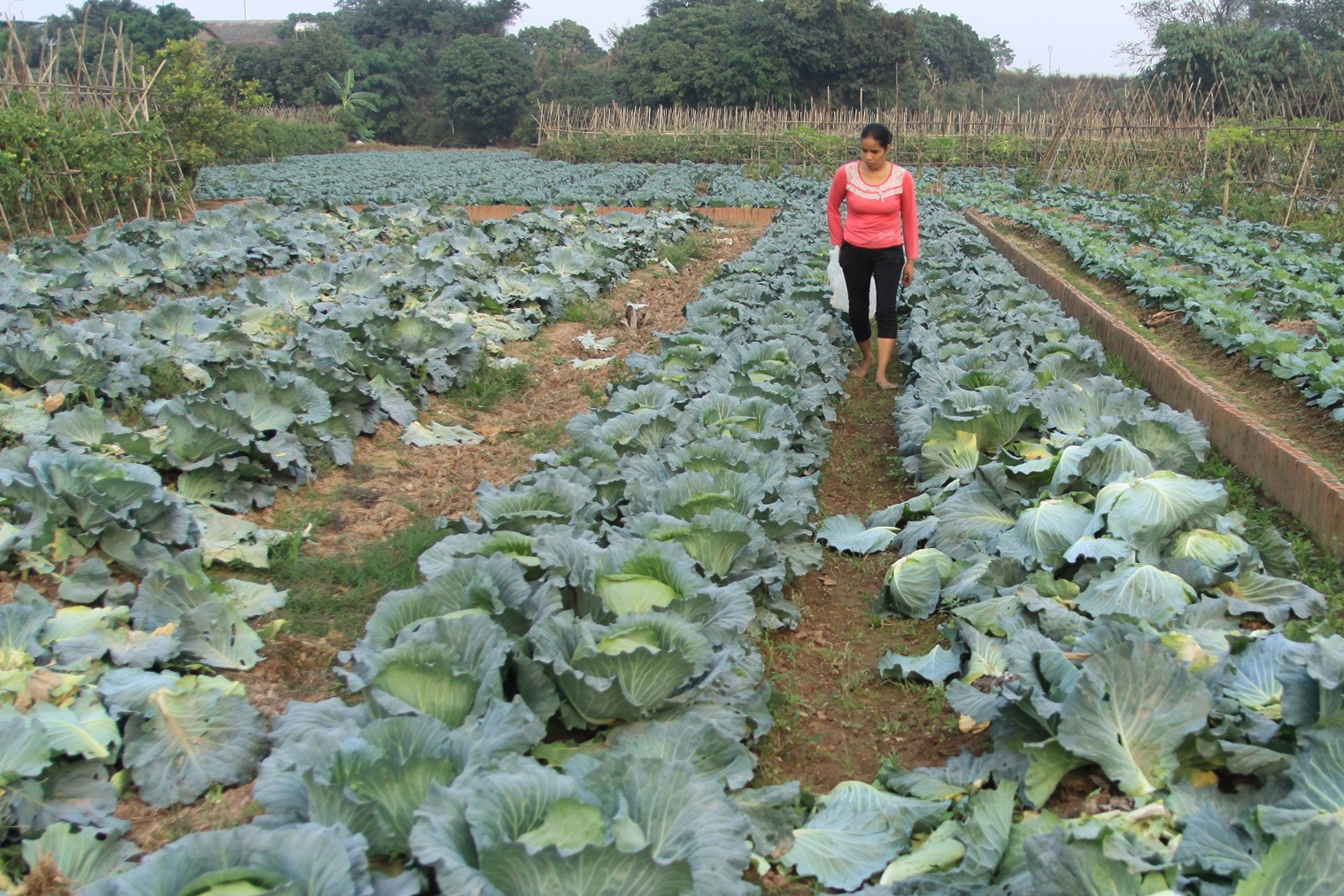 Khoc vi mua dong khong lanh hinh anh