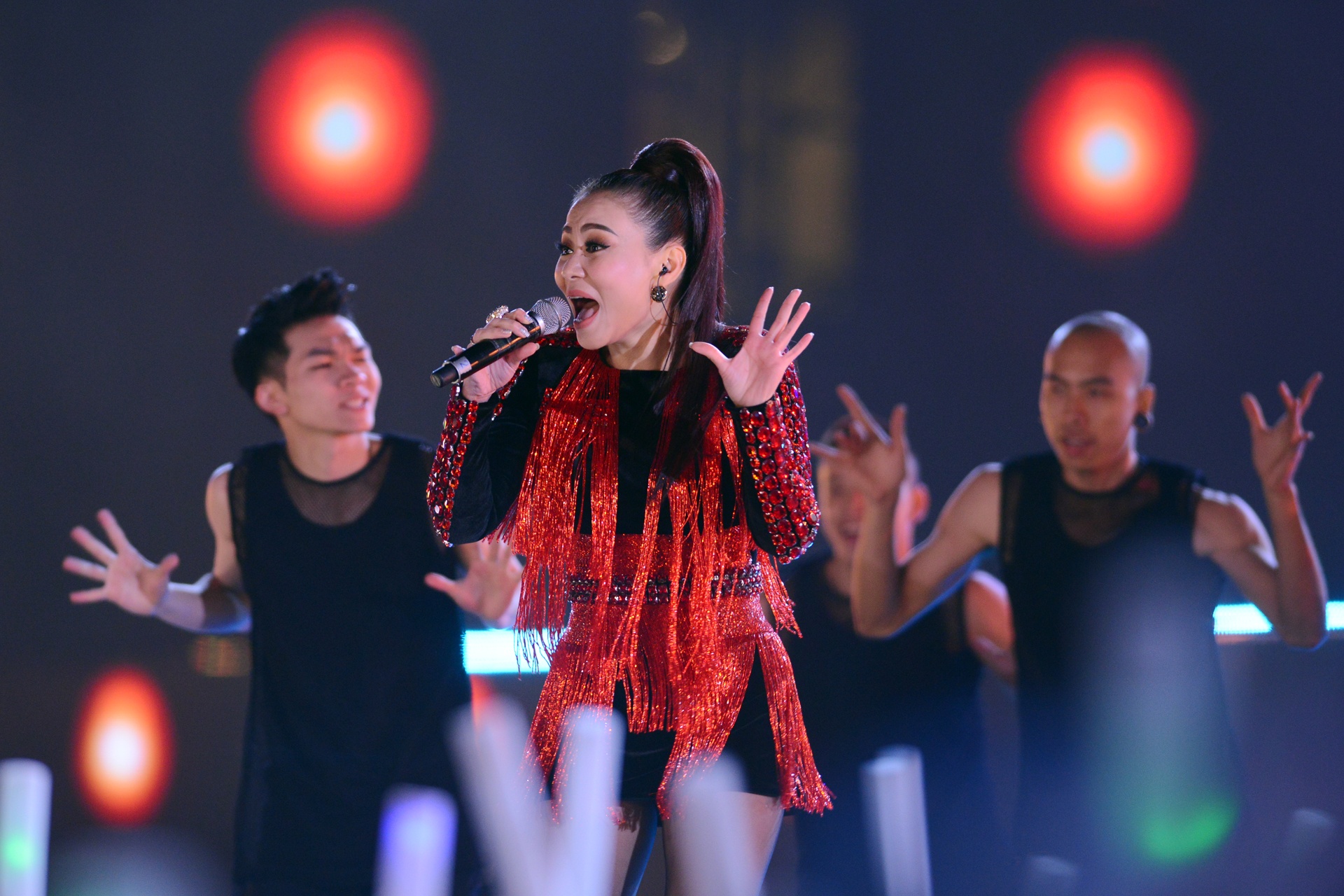 dai nhac hoi,  vingroup,  vinid,  dai hy xuan 2017 anh 13