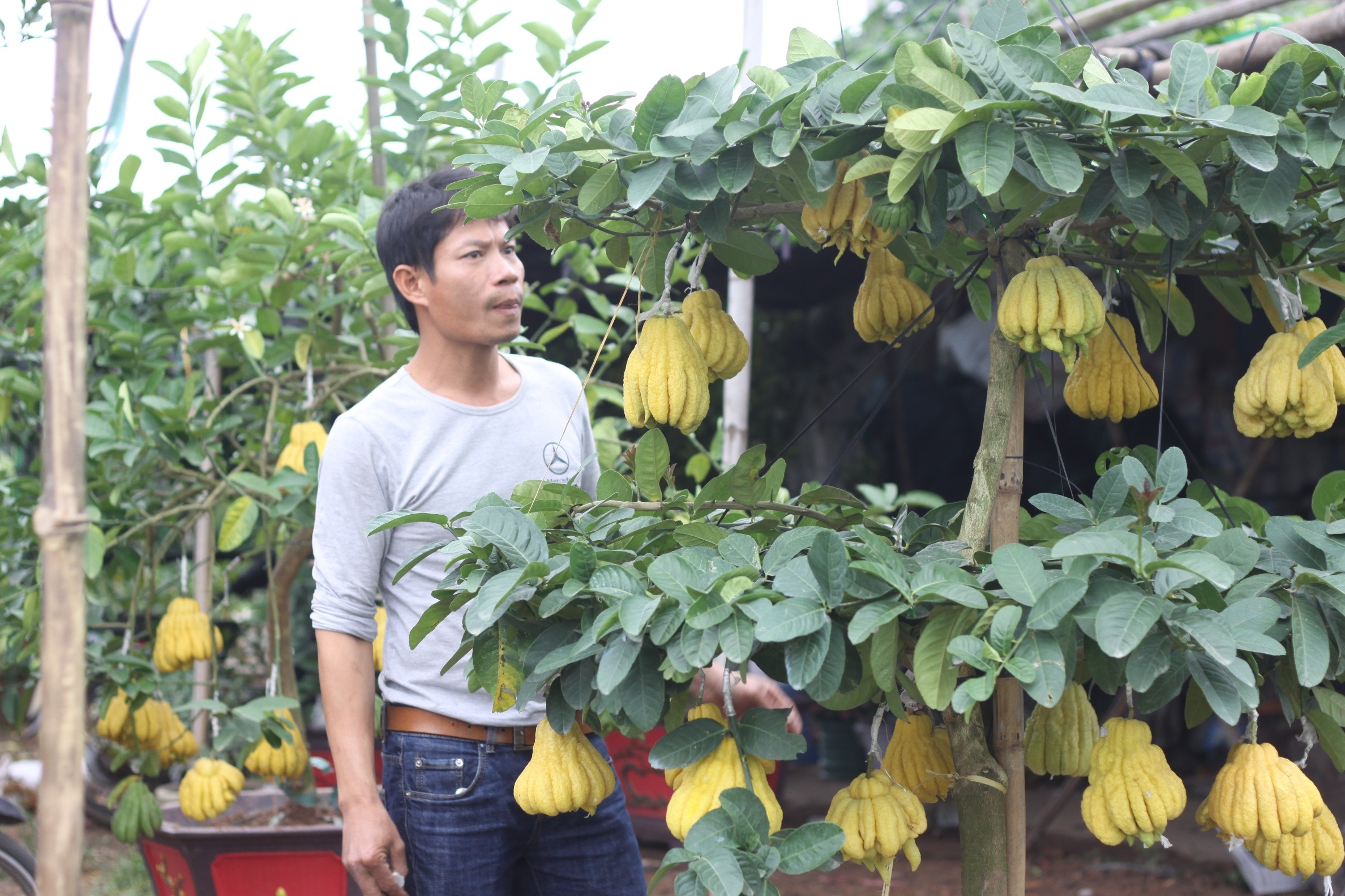 Nguoi 'khong co doi thu' o lang ty phu phat thu hinh anh