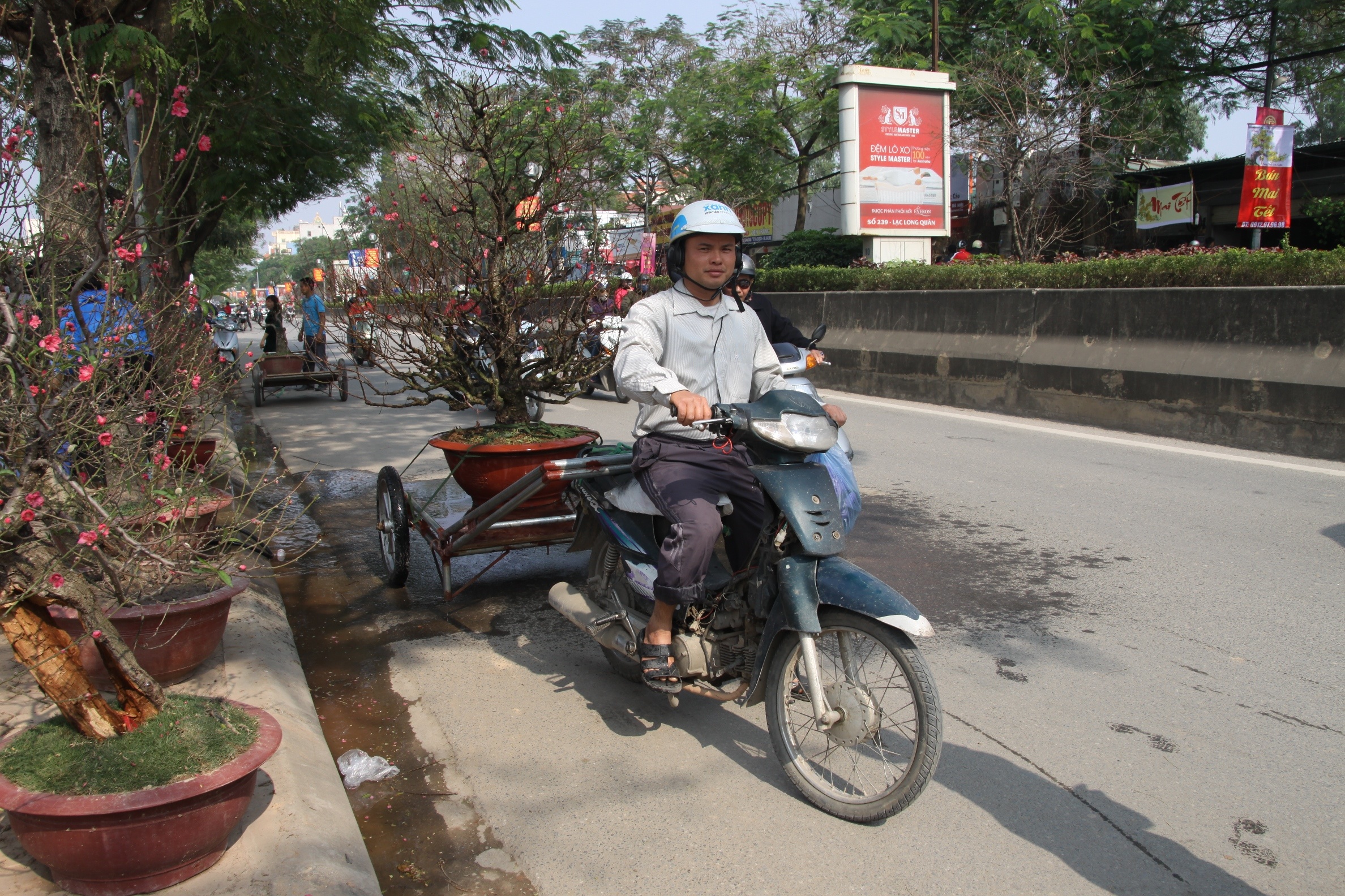 cho dao quat thue anh 1