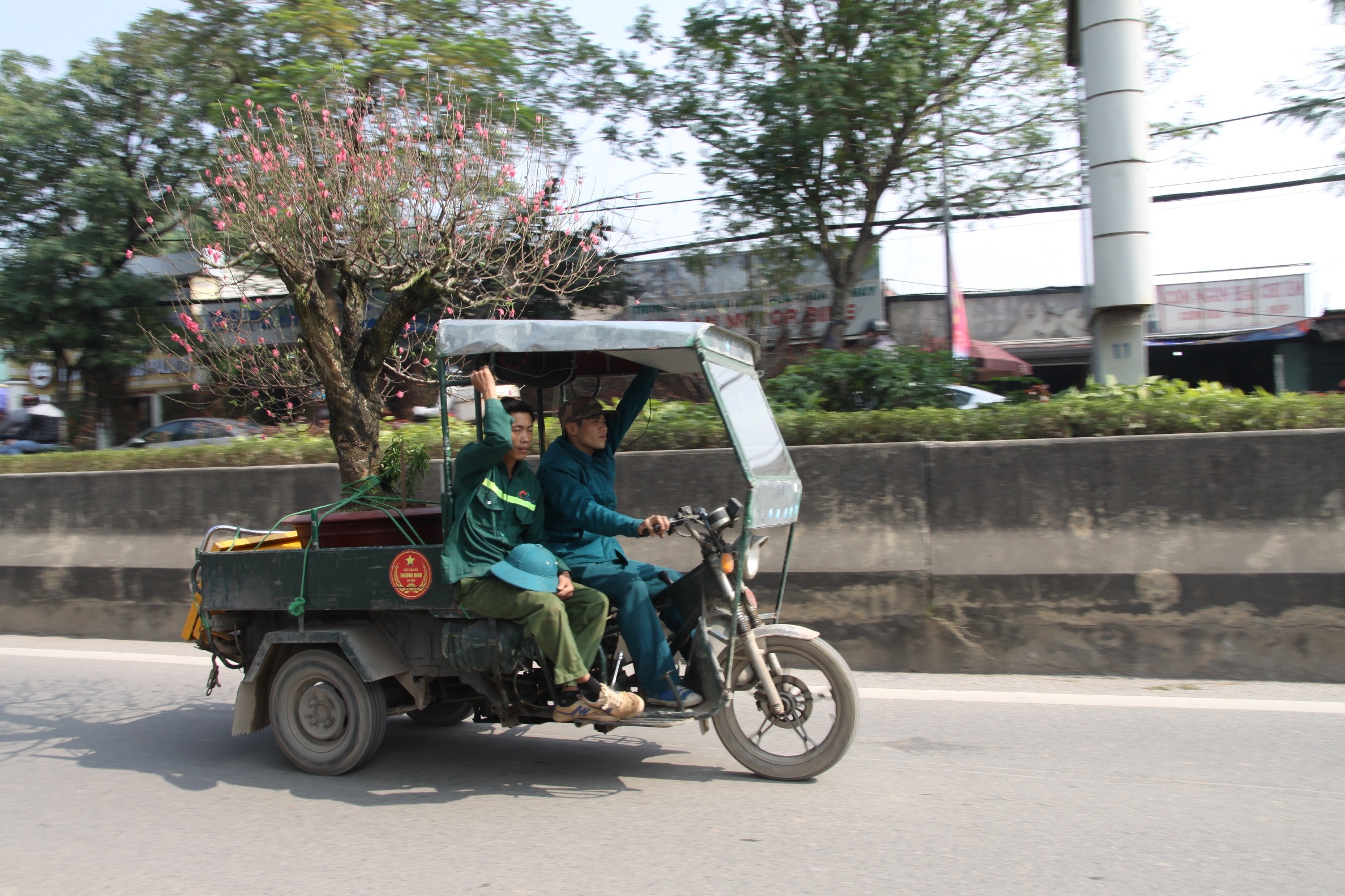 cho dao quat thue anh 2