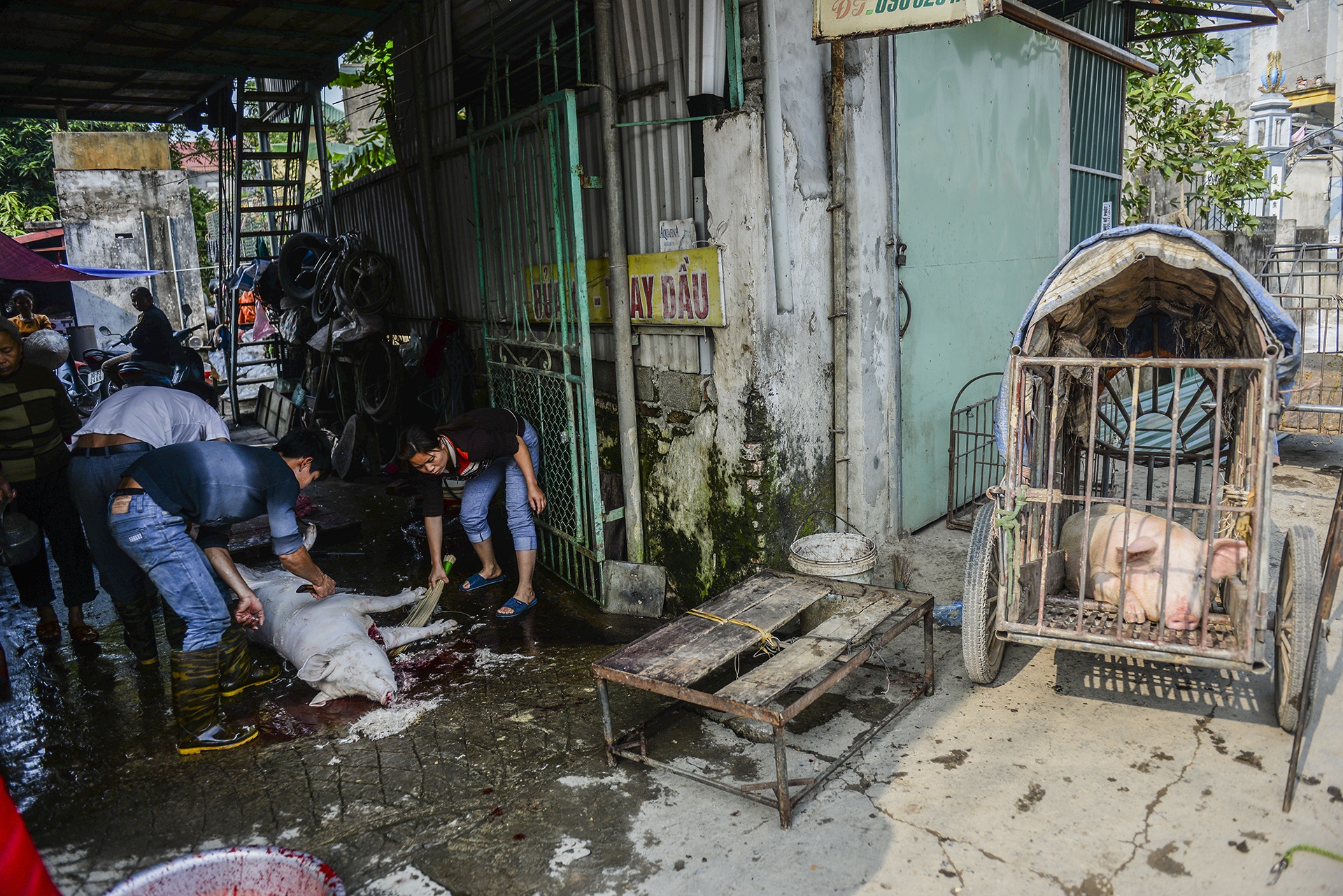 lang gio cha uoc le anh 7