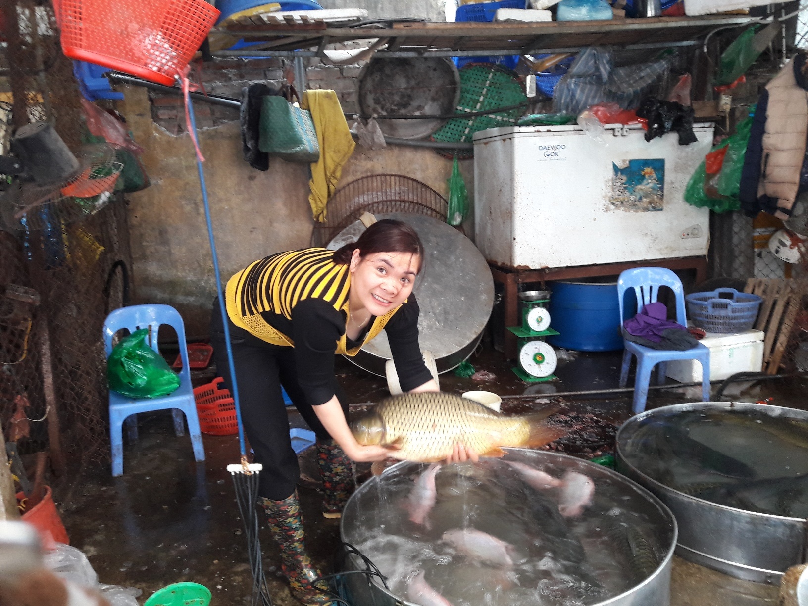 Sau Tet, 1,5 trieu dong mot con ca chep van 'chay' hang hinh anh