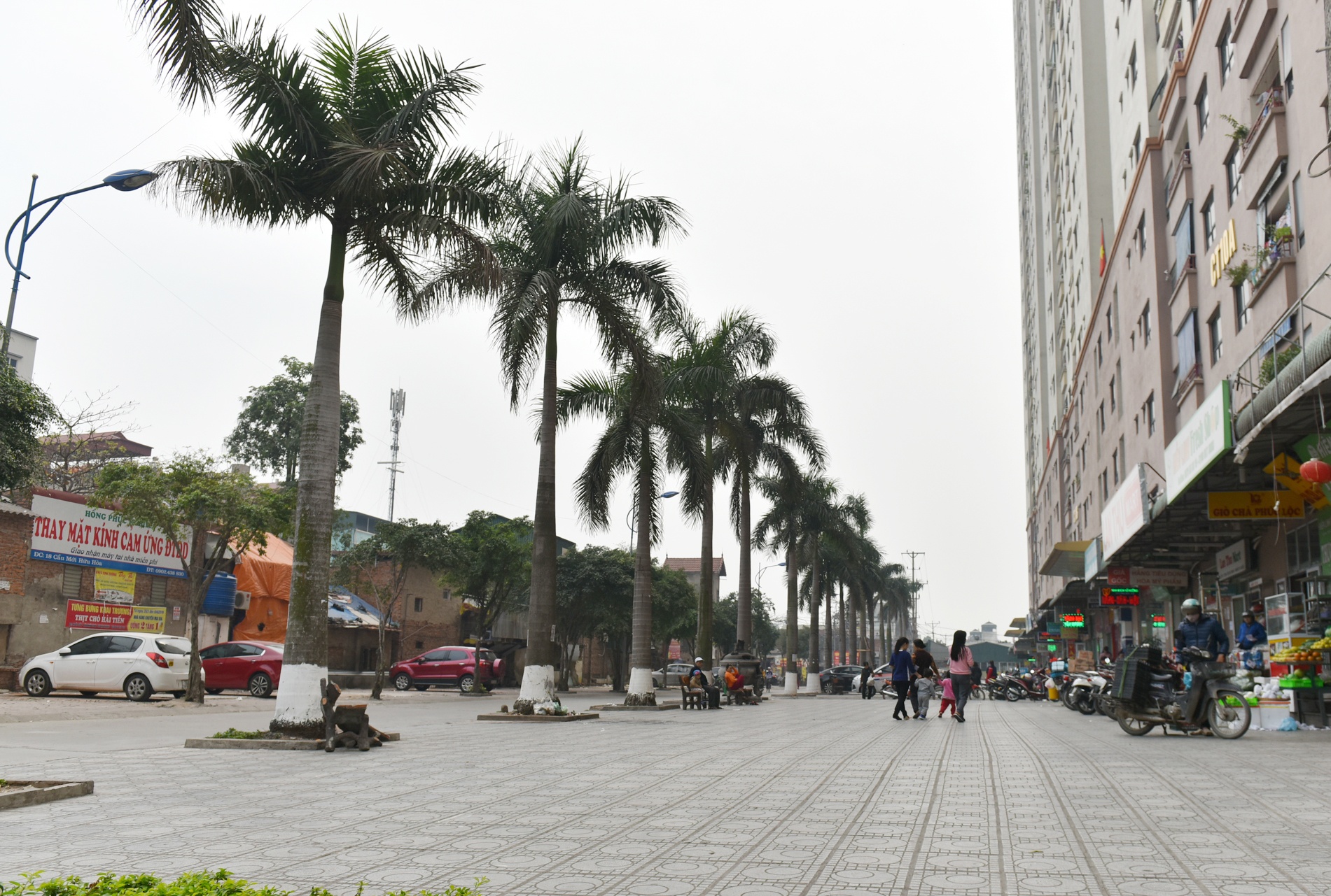 khu do thi dai thanh anh 10