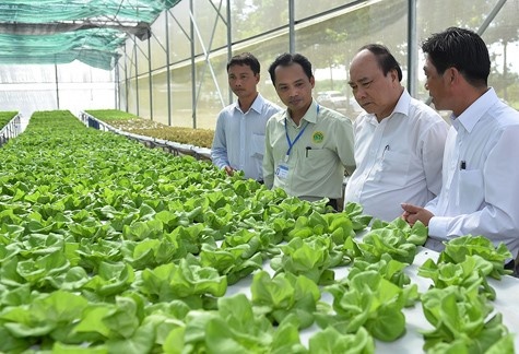 Ca nhan co the vay goi 100.000 ty dong lam nong nghiep cong nghe cao hinh anh