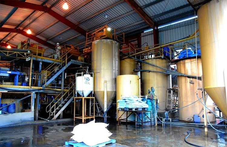 đại gia vàng, vàng phước sơn ảnh 2 dai gia vang, vang phuoc son anh 2