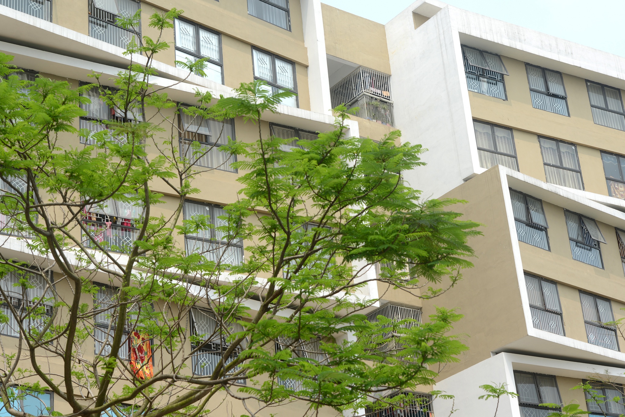 khu do thi dang xa anh 11