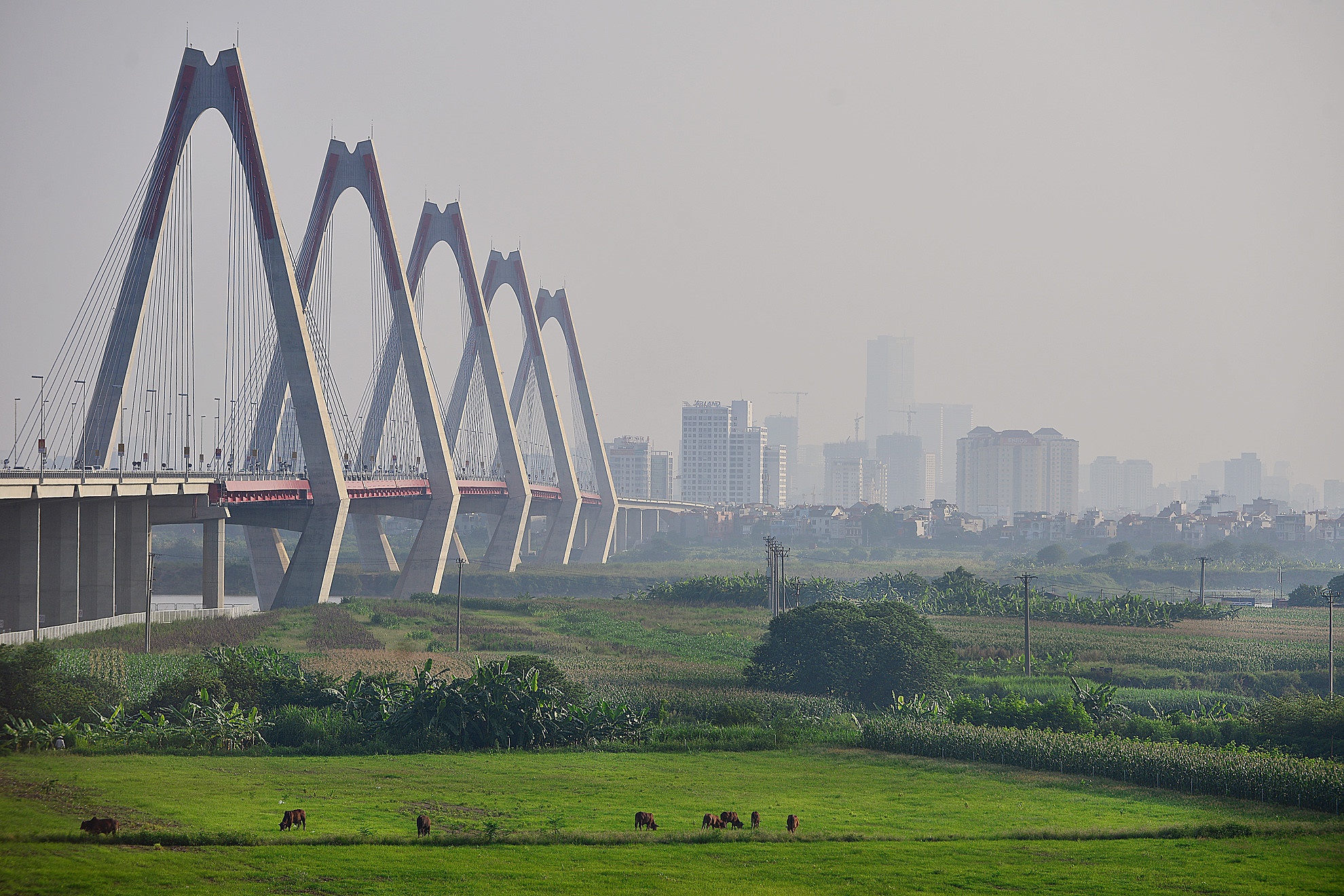 buc tranh kinh te viet nam anh 1