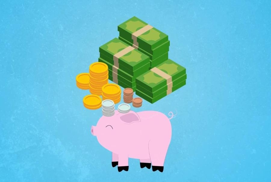 Mot con heo cong lung ‘cong’ 51 khoan thue, phi hinh anh