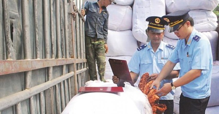 Thu tuong chan chinh viec ‘doanh nghiep mot thang don 4 doan kiem tra' hinh anh