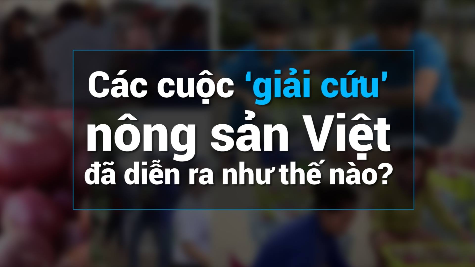 Cac cuoc ‘giai cuu’ nong san Viet da dien ra nhu the nao? hinh anh