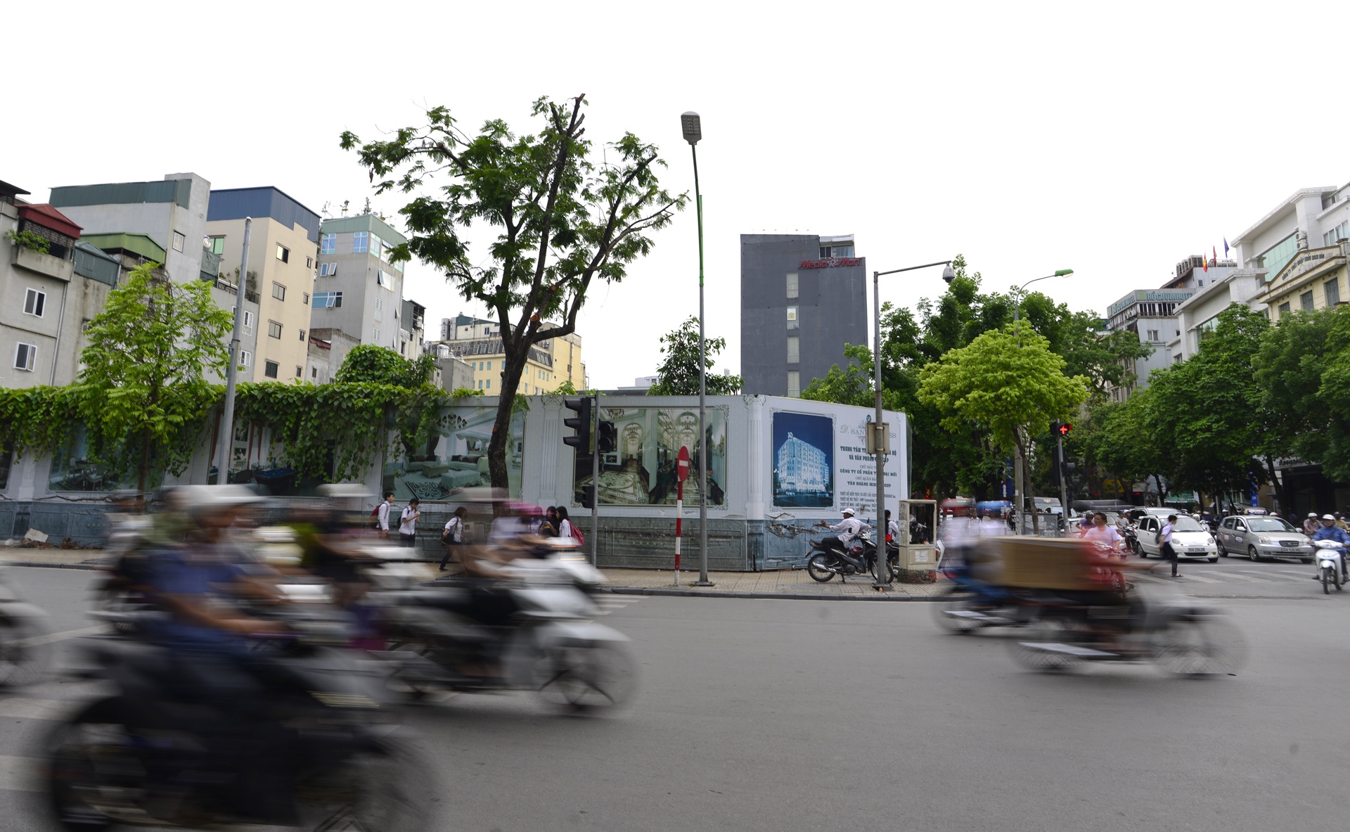 tan hoang minh anh 12